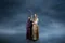 carousel chooser